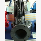 AV55-2型反沖洗泵